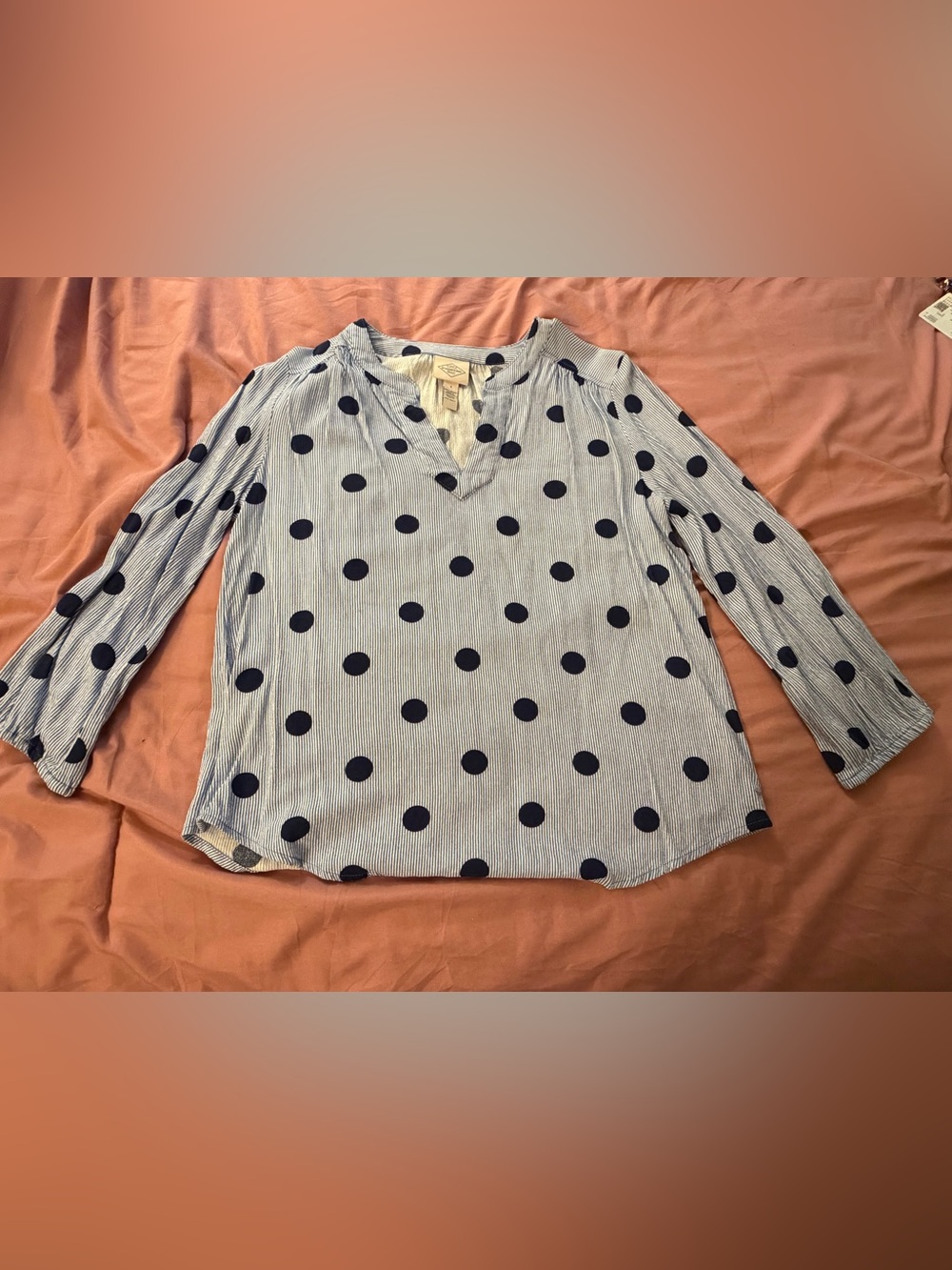 St. John's Bay Light Blue Polka Dot V-Neck Blouse